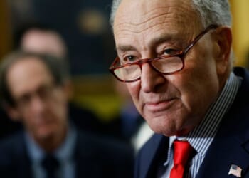 Schumer Is A ‘Loser’ Using The Shutdown In A Bid To ‘Get Relevance Back’