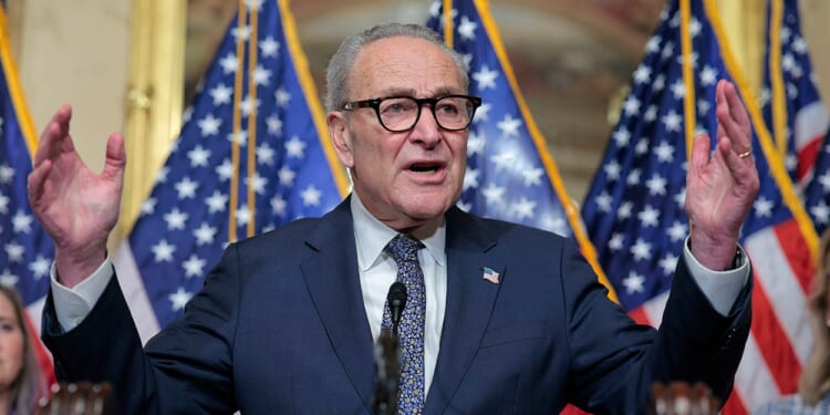 Schumer Shutdown Presents Opportunity to Replace SNAP