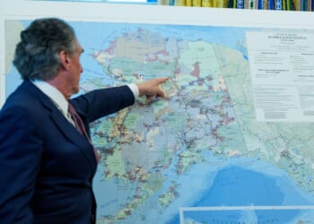 The Trump administration buys a stake in yet another company