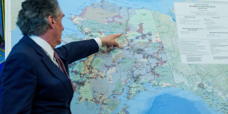 The Trump administration buys a stake in yet another company