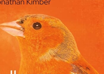 The divided brain, improvisation, and leadership in the Church by Jonathan Kimber