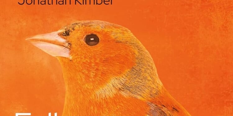 The divided brain, improvisation, and leadership in the Church by Jonathan Kimber