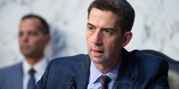 Tom Cotton Pushes Full Purge Of Biden Immigration Policies Over Terrorist Caught In U.S.