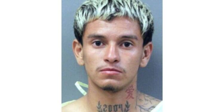 Trump Admin Seeks ICE Detainer For Illegal Immigrant Accused Of Raping Unconscious Woman In Chicago