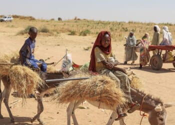 Trump is the best hope Sudan has got