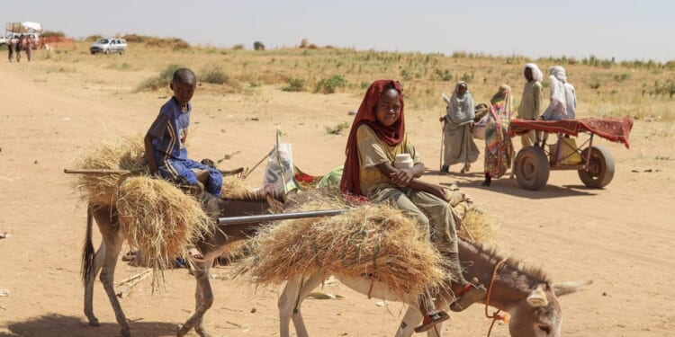 Trump is the best hope Sudan has got