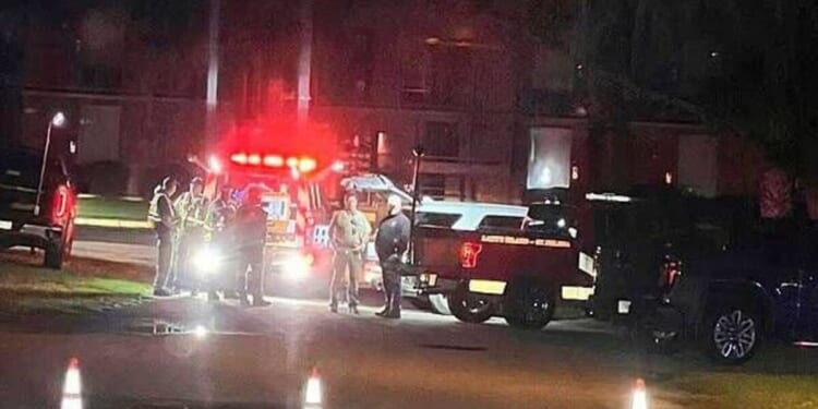 US shooting leaves multiple dead at bar as 20 injured | US | News