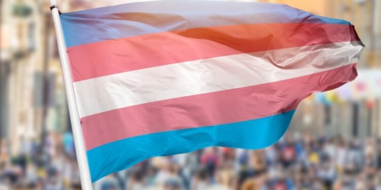 Violent predators are exploiting gender ideology to continue their heinous crimes