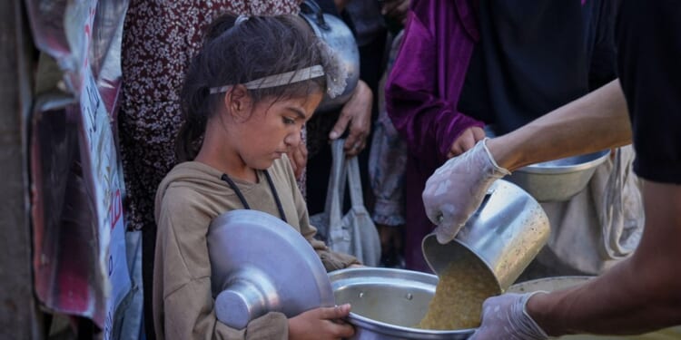 What is at stake in Gaza