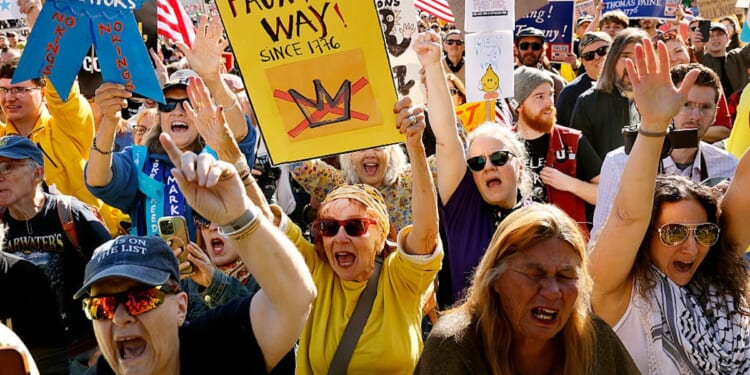 ‘They’re Actually Protesting American Democracy’