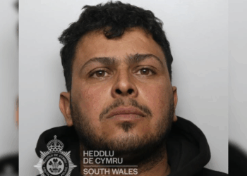 Migrant crisis: Asylum seeker strangled and sexually assaulted woman in ‘petrifying' Cardiff attack