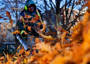 Neighbour row kicks off as local launches campaign to ban ‘ridiculous’ leaf blowers