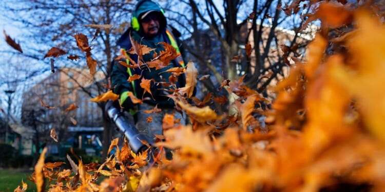 Neighbour row kicks off as local launches campaign to ban ‘ridiculous’ leaf blowers