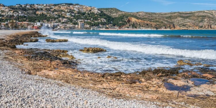 British man found dead between parked cars near popular holiday hotspot as police launch probe