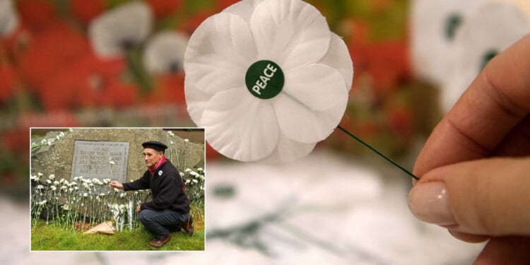 White poppy campaign launched to 'decolonise' and remember those 'killed or imprisoned for refusing to fight'