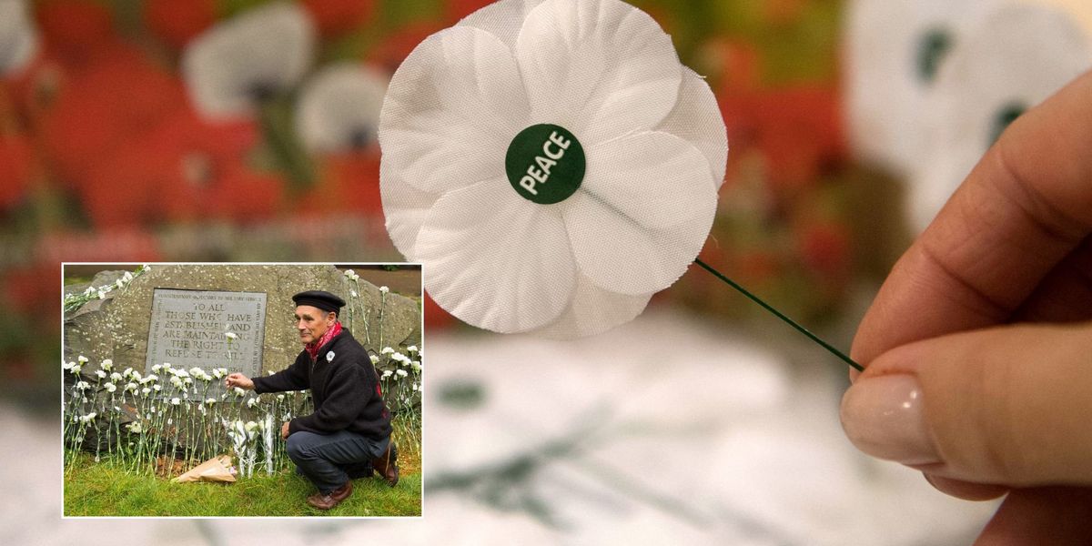 White poppy campaign launched to 'decolonise' and remember those 'killed or imprisoned for refusing to fight'