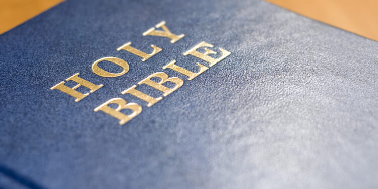 Search engine uses AI to find alleged Scripture 'contradictions'