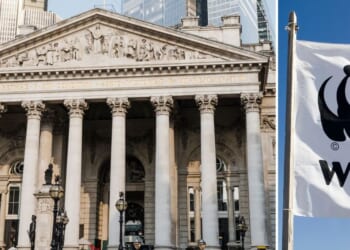 Bank of England told it 'must do so much more' to tackle climate change