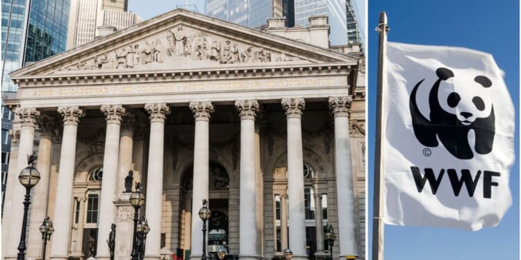 Bank of England told it 'must do so much more' to tackle climate change