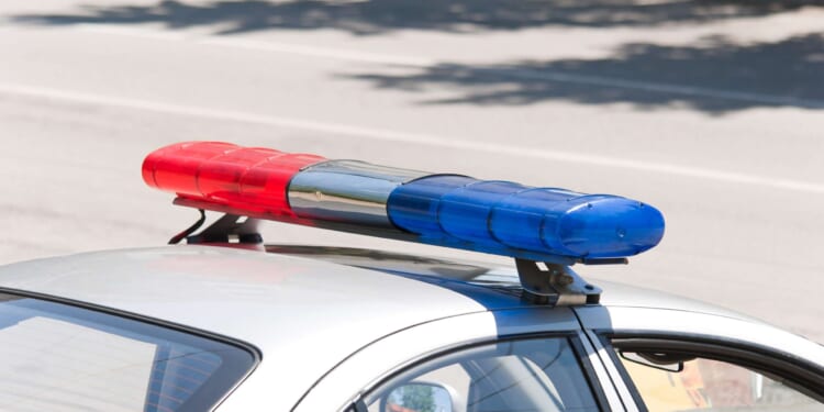 Brickbat: In No Hurry