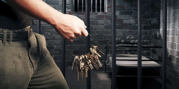 Brickbat: Jailhouse Rot