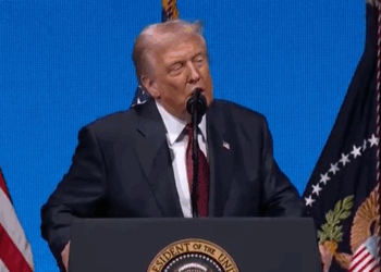 Donald Trump issues damning verdict after Zohran Mamdani becomes New York's first Muslim mayor