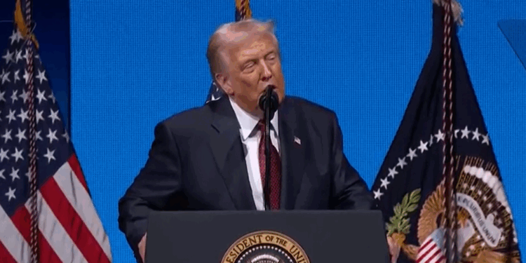 Donald Trump issues damning verdict after Zohran Mamdani becomes New York's first Muslim mayor