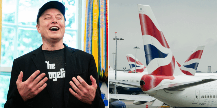 Airline set to provide service on board thanks to mega deal with Elon Musk's Starlink