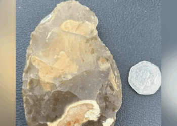 Family left stunned after stumbling across 'exceedingly rare' Stone Age hand axe
