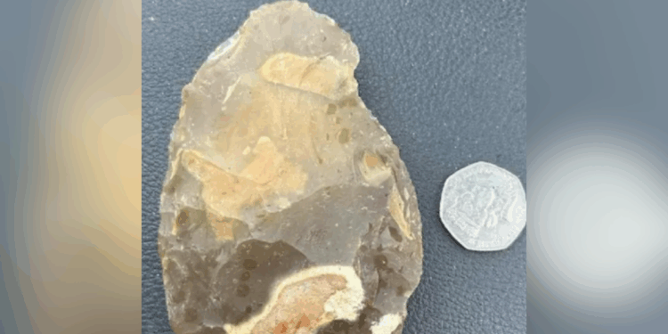 Family left stunned after stumbling across 'exceedingly rare' Stone Age hand axe
