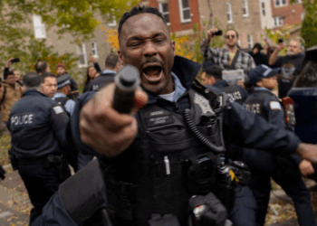 Manhunt underway after shots fired at Border Patrol agents