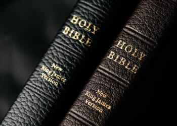More Americans are now reading the Bible: study