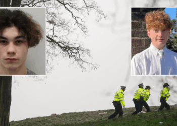 Teenager who stabbed Harry Pitman at New Year's Eve fireworks detained for 16 years