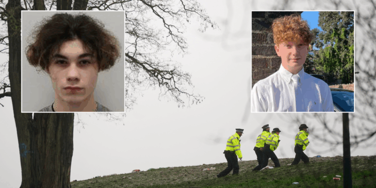 Teenager who stabbed Harry Pitman at New Year's Eve fireworks detained for 16 years