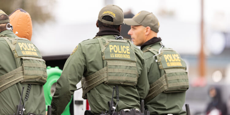 Chicago street gang targets immigration agents: report