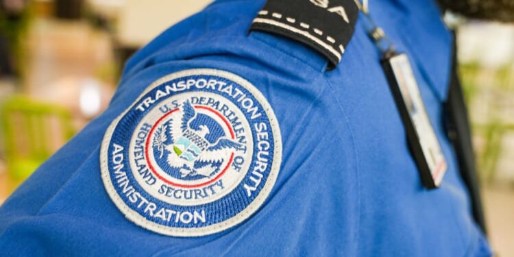 Atlanta flight grounded after mystery loaded gun magazine found on board as police swarm US airport