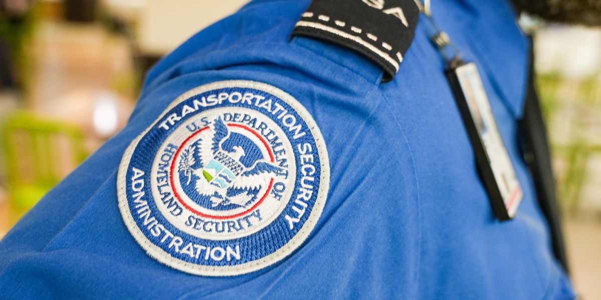 Atlanta flight grounded after mystery loaded gun magazine found on board as police swarm US airport