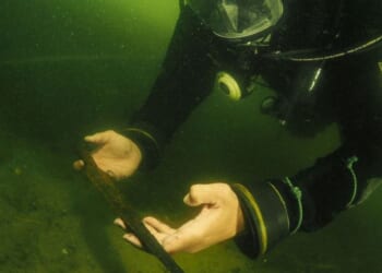 Intricately decorated spears linked to 1,000-year-old 'elite warrior culture' discovered in Lake Lednica