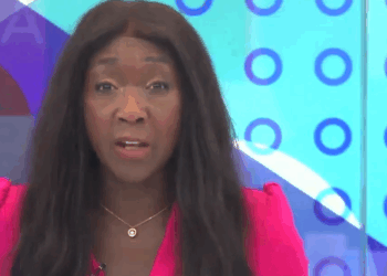 'There are still too many holes in Labour's migration plan for it to succeed'