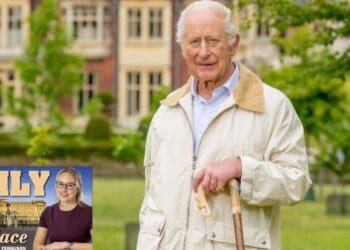 Royal sources reveal why King Charles is refusing to take it easy | Royal | News