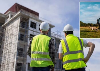 MPs challenged over claims nature is blocking Britain's housing growth