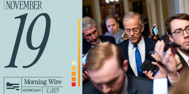 The Epstein Files, AI Bubble Gets Nervous, & Schools Keep Lowering The Bar