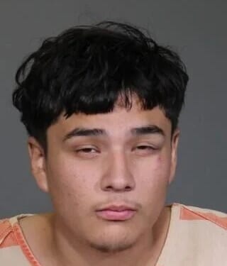 ICE: Illegal suspect in hammer attack on woman overstayed visa