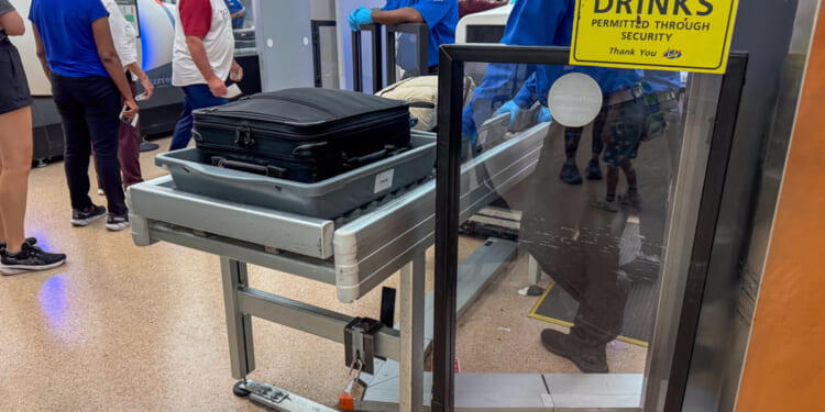 Trans-identified TSA officer sues DHS over female pat down ban