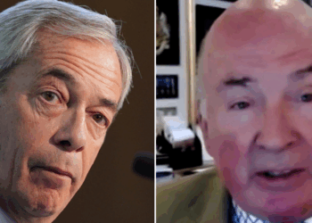 Nigel Farage is committing a 'grave, strategic error' by cutting foreign aid, ex-army chief declares