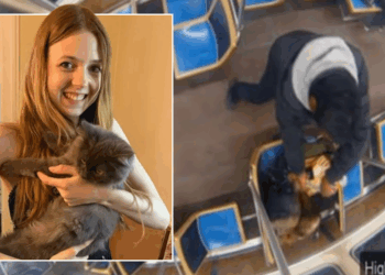 Woman who was 'doused in petrol and set alight' by serial offender in blood-curdling train attack is named as Bethany MaGee for first time