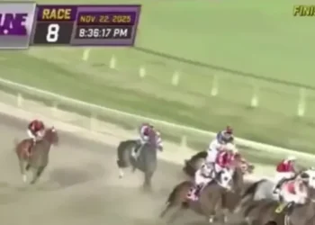 Jockeys forced to swerve ambulance with fans left astonished by chaotic scenes at horse racing