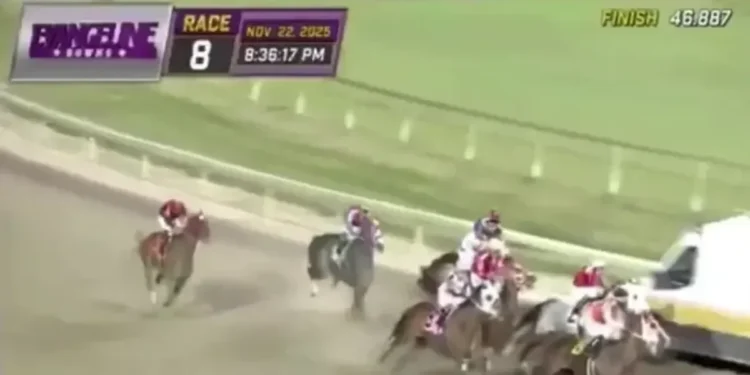 Jockeys forced to swerve ambulance with fans left astonished by chaotic scenes at horse racing