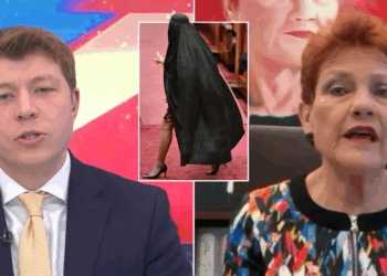 Pauline Hanson: 'I don't want Australia to end up like Britain'