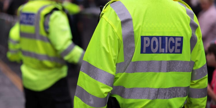 Brickbat: Wrong Chat